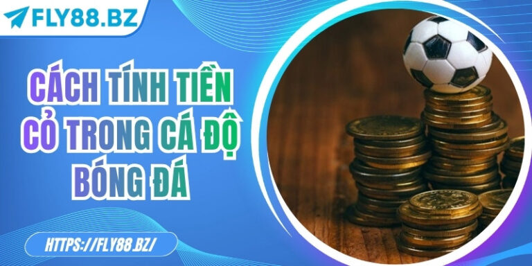 Cách tính tiền cỏ trong cá độ bóng đá chi tiết tại Fly88